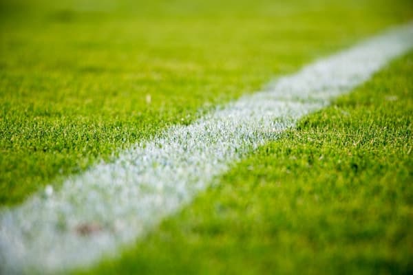 Sources: NWSL board postpones calendar flip vote