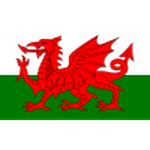 Wales U19 crest