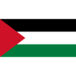 Palestine U23 crest