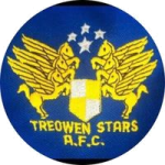 Treowen Stars crest