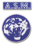 Vénissieux crest