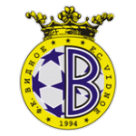 Metallurg Vidnoye crest
