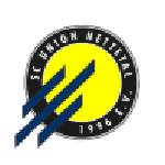 Union Nettetal crest