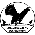 Olimpic Zărneşti crest