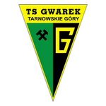 Gwarek Tarnowskie Góry crest