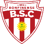 Botafogo BA crest