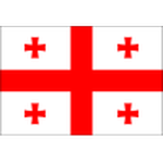 Georgia U17 crest