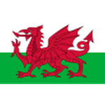 Wales U17 crest