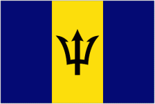 Barbados U17 crest