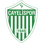 Çayelispor crest