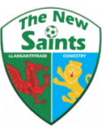 The New Saints U19 crest