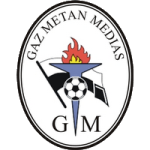 GAZ Metan Medias crest