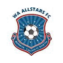 Cape Town ALL Stars crest