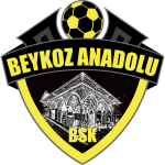 Beykoz Anadolu crest